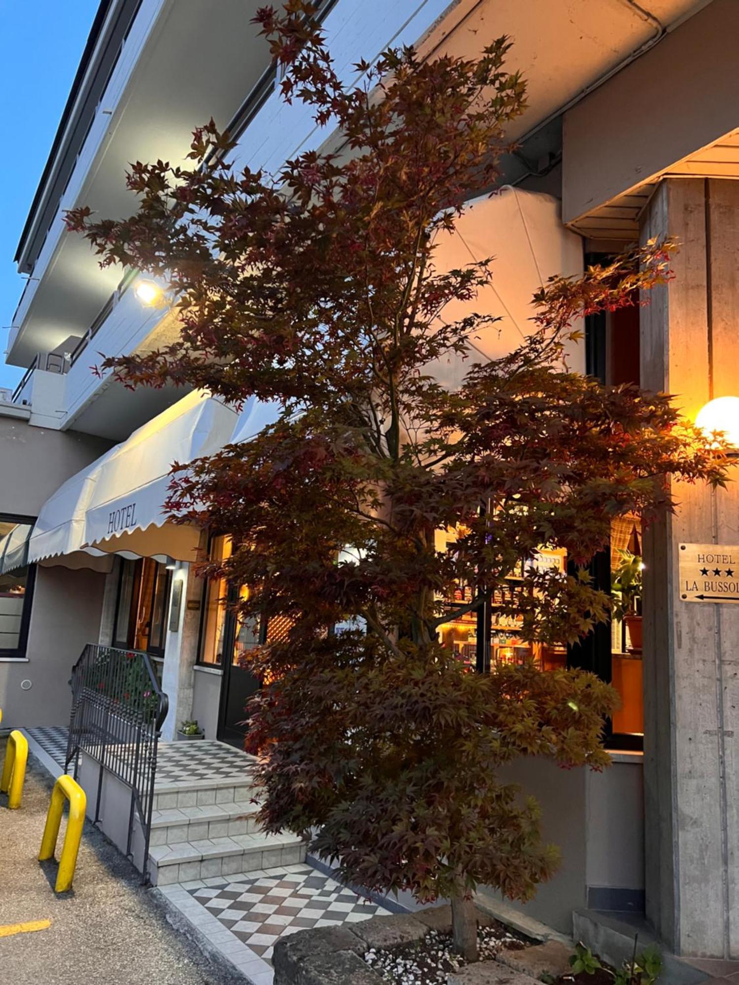 Hotel La Bussola Паденге-суль-Гарда Экстерьер фото